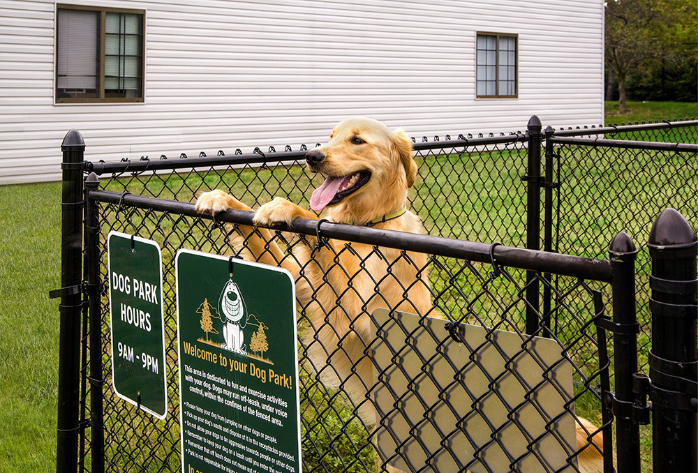 Central Park Place Apartments Grand Rapids, MI Leasing Now!