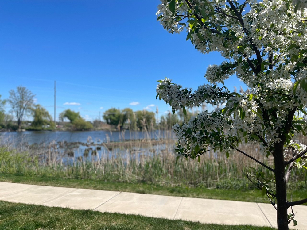 New Apartments in Grand Haven The Haven at Grand Landing