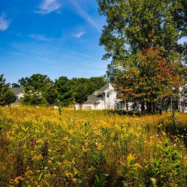 Apartments Okemos MI Central Park Apartments Home